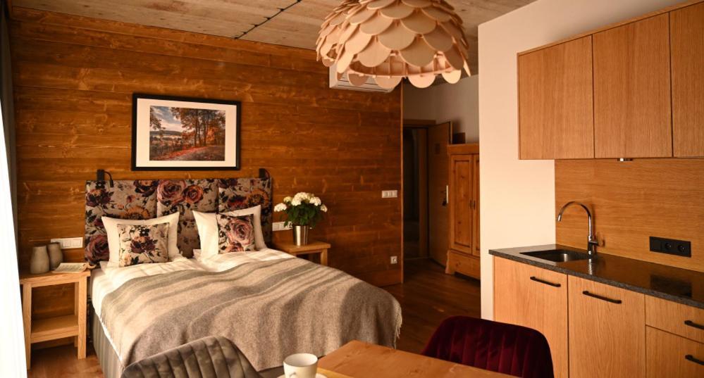 Apartamenty U Harrego Boutique Spa Z Klimatyzacja, Balkon, Sauna, Teznia Parking Кудова-Здруй Экстерьер фото